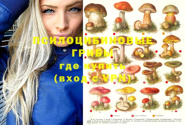 стафф Алексеевка