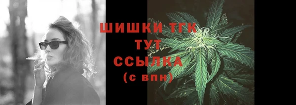 прущие грибы Алзамай