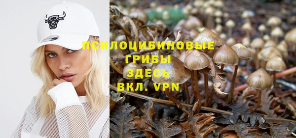 стафф Алексеевка