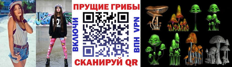 где продают   блэк спрут ссылки  Псилоцибиновые грибы GOLDEN TEACHER  Чухлома 